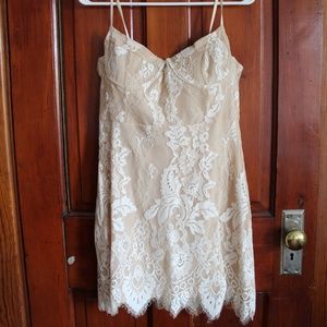 BodyCon Lace Mini Dress